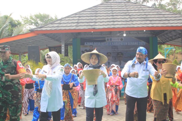 WhatsApp Image 2025-10-29 at 17.19.27