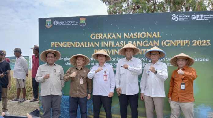 GNPIP 2025 Digelar di Mauk, Ameriza Ingin Dorong Produktivitas Pertanian