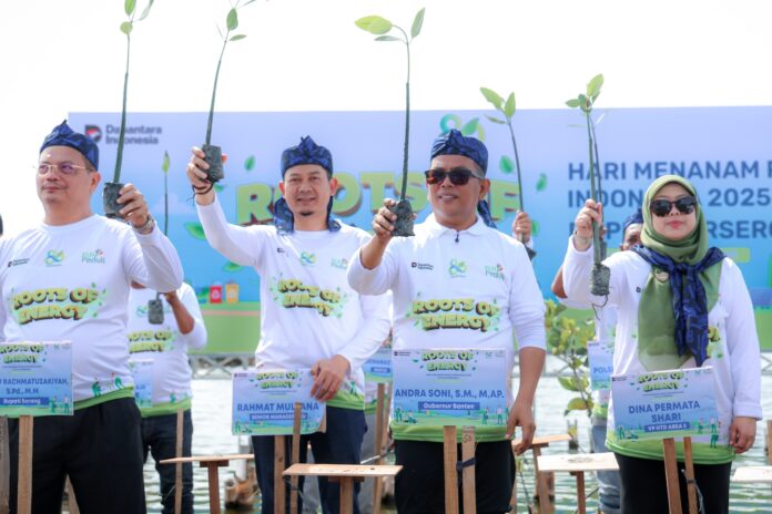 WhatsApp Image 2025-11-28 at 17.42.53