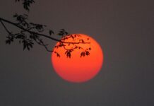 Puisi Anna Lestari: Sepotong Bulan Merah Saga