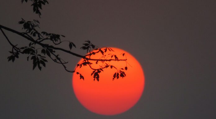 Puisi Anna Lestari: Sepotong Bulan Merah Saga