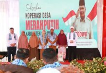 Dukung KDMP, Pemkab Serang Matangkan Skema Sewa Aset sesuai SE Mendagri