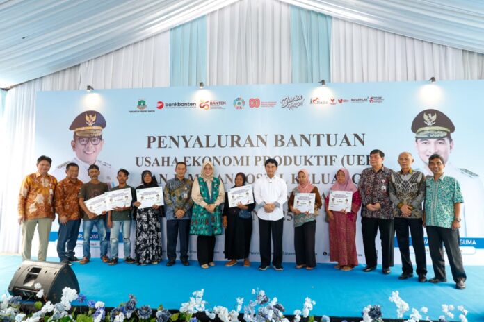 WhatsApp Image 2025-12-11 at 16.37.50