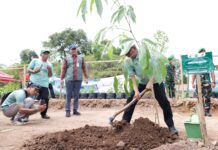 Gubernur Banten Tanam 19.089 Bibit Pohon pada Peringatan HMPI dan BMN 2025