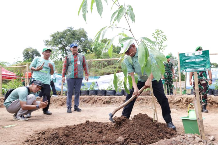 WhatsApp Image 2025-12-12 at 19.18.36