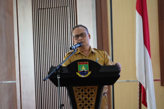 WhatsApp Image 2025-12-15 at 21.46.11