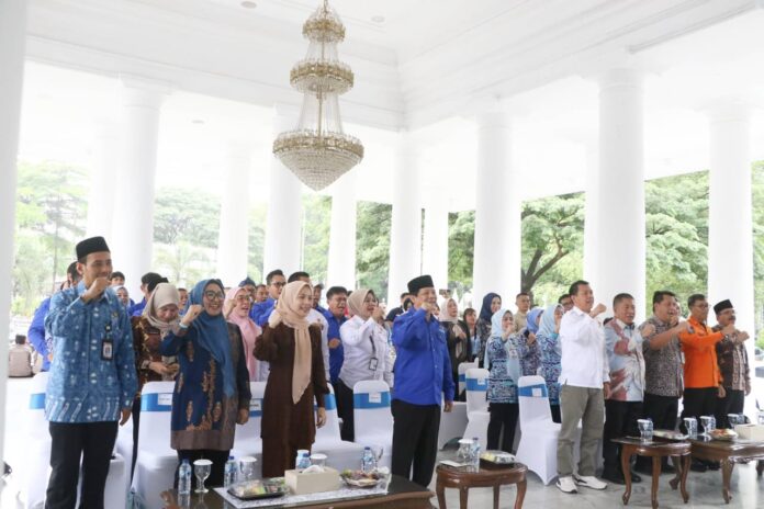 WhatsApp Image 2025-12-18 at 16.35.15