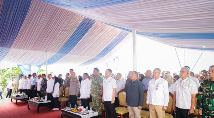 Gubernur Banten Sebut Produksi Padi Banten 2025 Melonjak 16,84 Persen