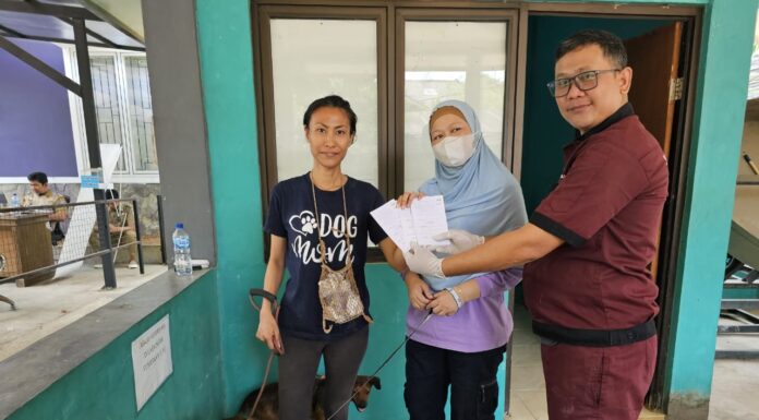 14 Tahun Tanpa Kasus, Banten Pecahkan Rekor Nasional Soal Pertahankan Status Bebas Rabies