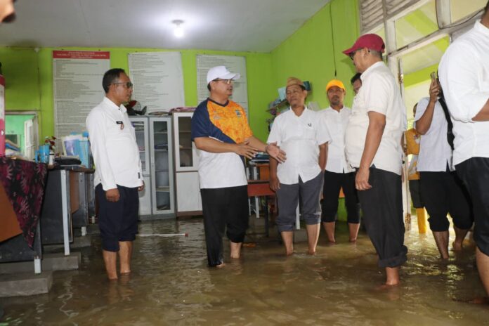 WhatsApp Image 2026-01-14 at 19.21.30 (1)