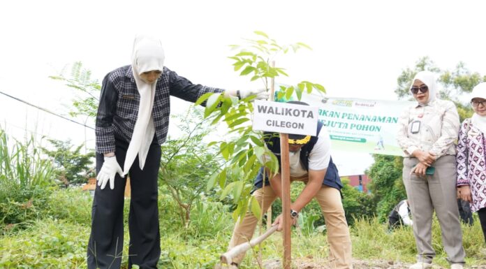 Pemkot Cilegon Tanam Pohon, Upaya Cegah Bencana dan Perbaiki Lingkungan