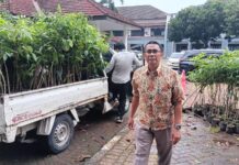 DLH Cilegon Tanam 8.654 Batang Bibit Pohon