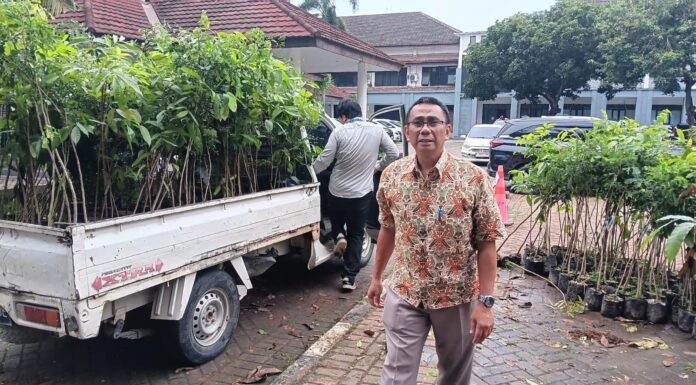DLH Cilegon Tanam 8.654 Batang Bibit Pohon