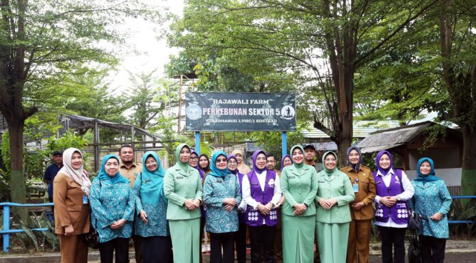 Tinawati Apresiasi Peran Kader Posyandu Layani Masyarakat