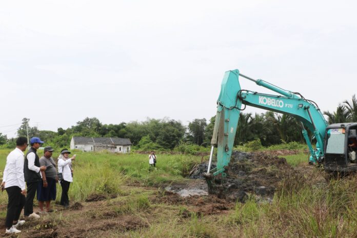 WhatsApp Image 2026-01-29 at 17.05.44