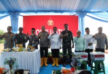 Gubernur Andra Soni Dorong Banten Capai Swasembada Jagung