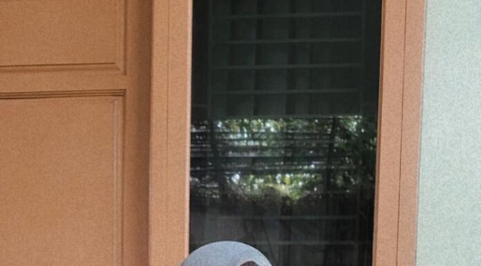 Chen Chen Anwar, Sosok Wanita Tangguh Dibalik Suksesnya Bukit Musang King Ronaldo Farm Sebagai Destinasi Agrowisata