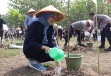 Gerakan Indonesia Asri, Kapolda Banten dan Bupati Serang Tanam 3000 Pohon