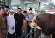 Robinsar Salurkan Bantuan Sapi Kurban Presiden RI untuk Warga Cilegon dan Jomban