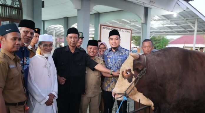 Robinsar Salurkan Bantuan Sapi Kurban Presiden RI untuk Warga Cilegon dan Jomban