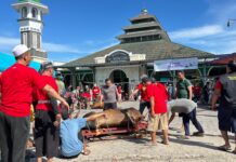 Bukti Cinta Kepada Nabi, Masjid Jami Al Muhajirin Cikande Permai Gelar Pemotongan Hewan Kurban