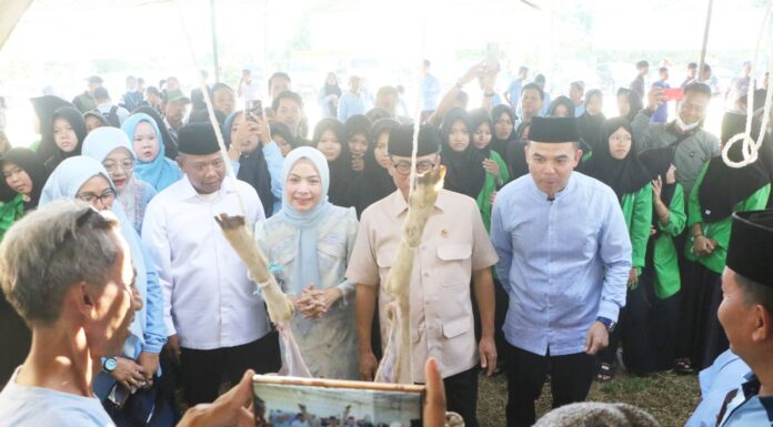 Pertama di Indonesia, Kabupaten Serang Sukses Sembelih Hewan Kurban 1.000 Domba untuk Masyarakat