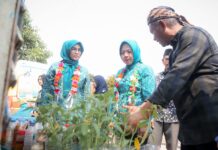 Tinawati Tegaskan Peran Strategis Kader PKK dalam Mendukung Pembangunan