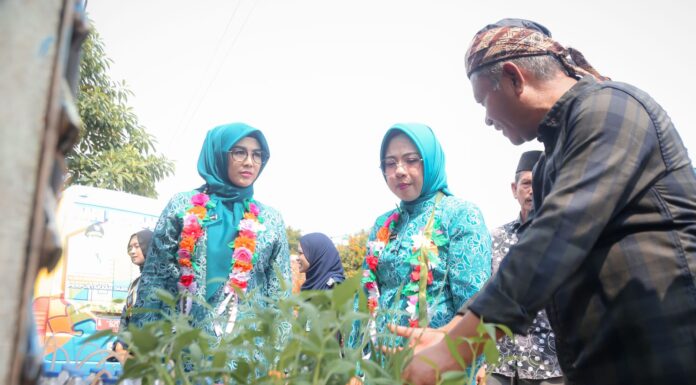 Tinawati Tegaskan Peran Strategis Kader PKK dalam Mendukung Pembangunan