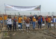 Pertamina Foundation Bersama Linknet dan Pemkot Serang Tanam 5.000 Mangrove